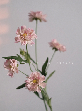 muzhi flower小雏菊仿真花轻奢高端客厅插花假花餐桌花艺装饰花束