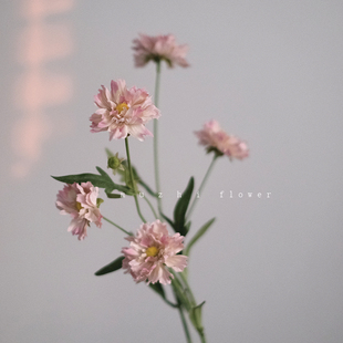 muzhi 饰花束 flower小雏菊仿真花轻奢高端客厅插花假花餐桌花艺装