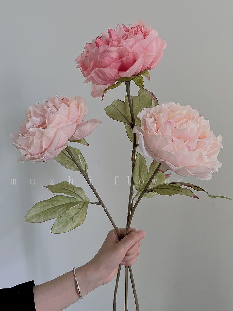 muzhi绢花芍药高级感仿真花