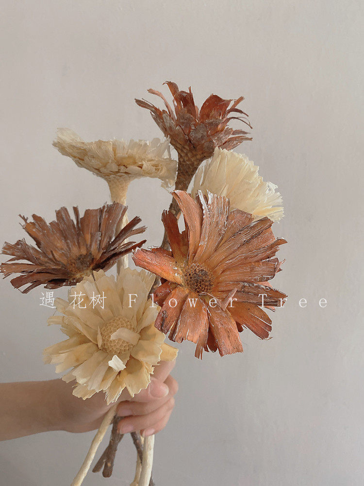 侘寂风禅意复古进口非洲菊干花真花风干花束装饰客厅民宿软装饰品