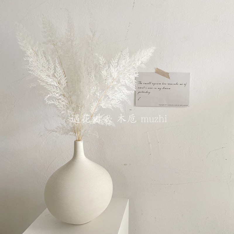 高颜值白色干花真花摆件