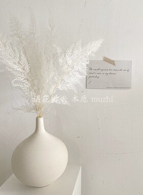 蕨叶白色永生花摆件客厅植物干花束真花装饰民宿工作室样板房软装