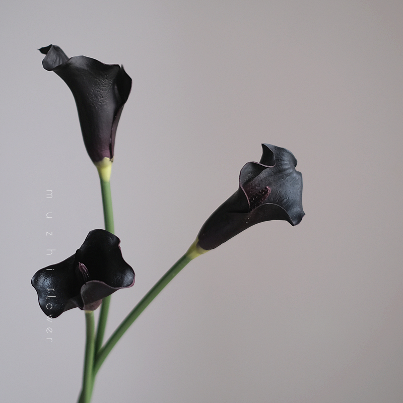 暗黑紫海芋轻奢手感保湿仿真花