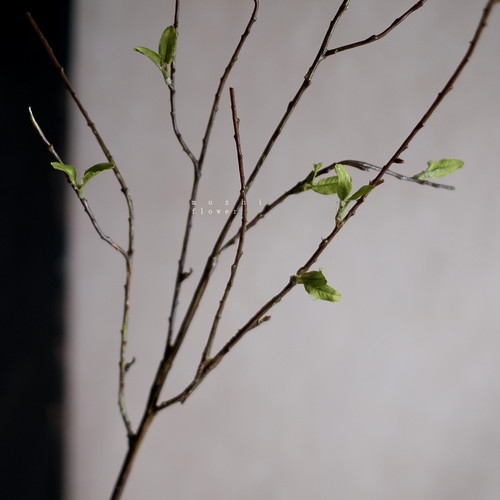北欧简约轻奢仿真绿芽枝绿植枝条