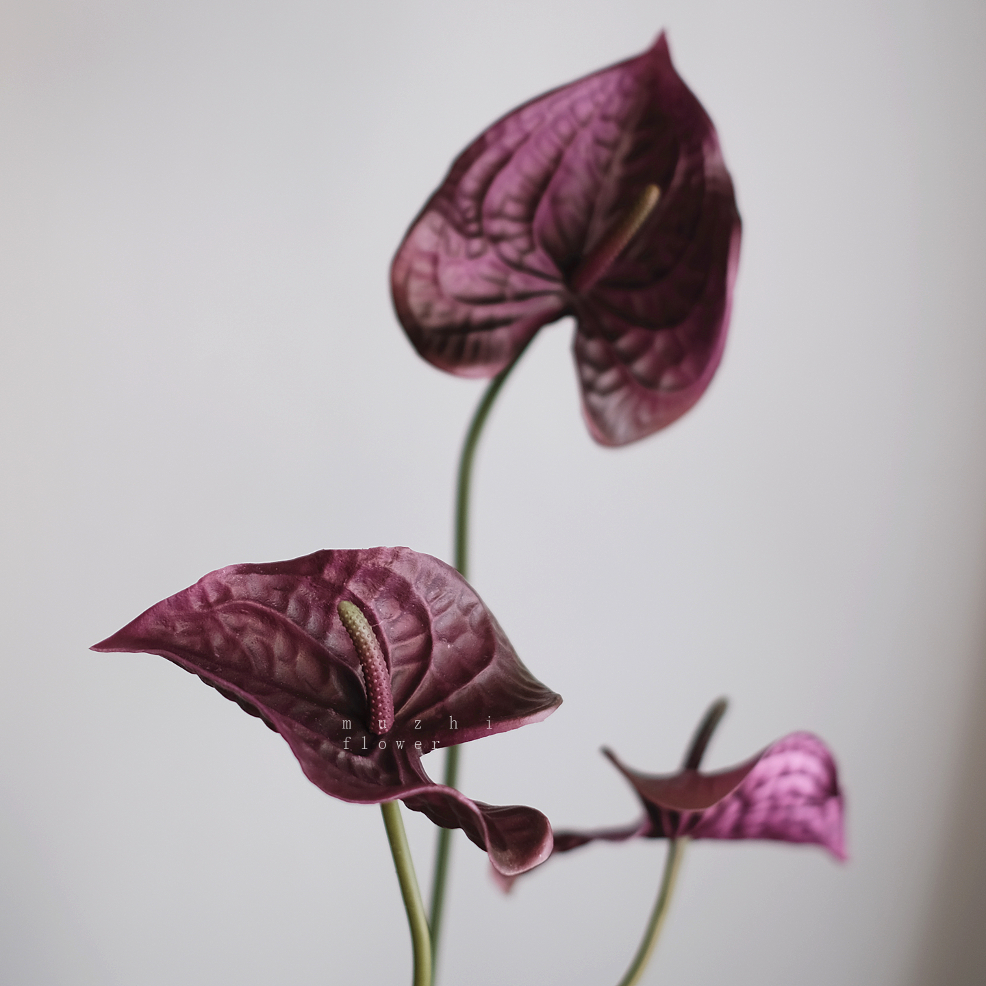 暗夜紫红掌叶手感仿真花束