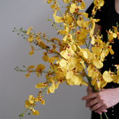 跳舞兰蝴蝶兰仿真花绢花束假花客厅摆设轻奢高端花艺插花装 饰摆件