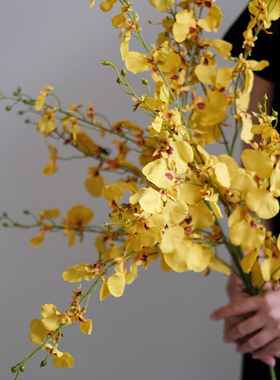 跳舞兰蝴蝶兰仿真花绢花束假花客厅摆设轻奢高端花艺插花装饰摆件