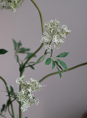 白色蕾丝仿真花轻奢高端客厅花瓶插花干花客厅电视柜家居软装装饰