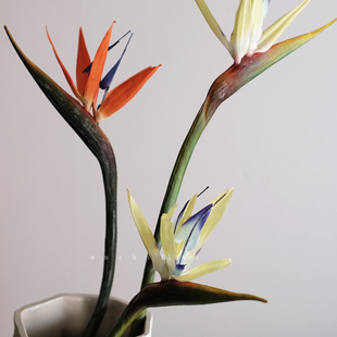 轻奢高端仿真花束天堂鸟单支逼真花艺插花客厅装 饰摆件家居软装