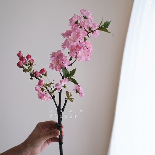海棠花高级感客厅餐桌花摆花