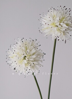 muzhi白色葱花蒲公英清新高端仿真花高级感逼真客厅花艺插花摆件