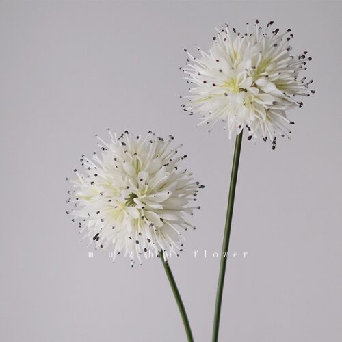 白色蒲公英高级感逼真仿真花