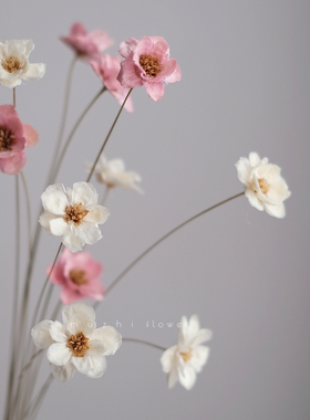 ins进口雏菊干花小花束仿真花装饰摆件不会枯萎的花蓝色永生花