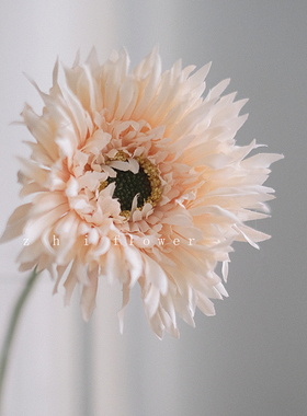 扶郎花假花仿真花摆设轻奢客厅插花束花艺装饰小雏菊婚礼布置摆件
