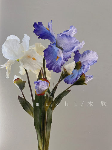 muzhi高颜值鸢尾绢花仿真花