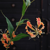 嘉兰火焰百合仿真花橘色假花花束高端客厅高枝插花装 饰花瓶摆件