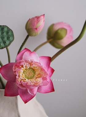 粉色荷花莲花仿真花高级感逼真莲蓬客厅摆件花艺插花摆设家居装饰