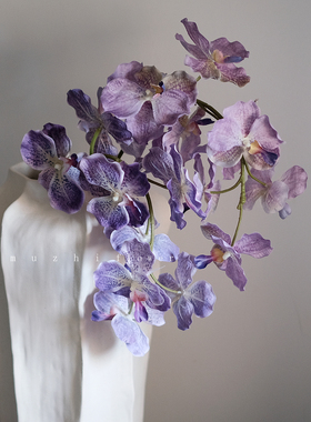 高级感逼真高枝蝴蝶兰万代兰仿真花假花客厅餐桌插花花束家居装饰