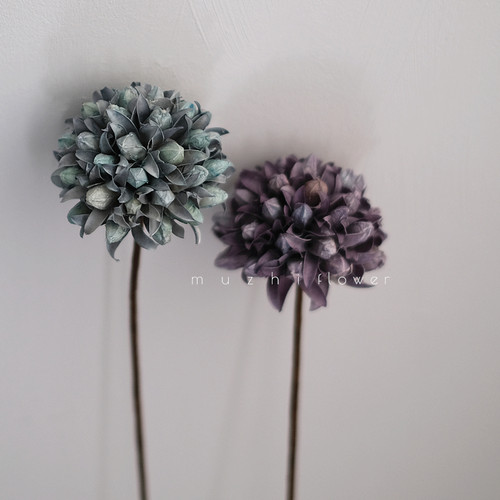 精致玉兰干花真花花束客厅插花