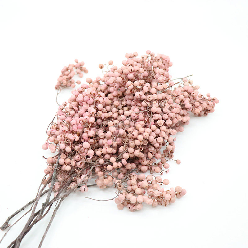 日本进口大地农园永生花胡椒果diy材料干花辅材点缀装饰拍摄道具