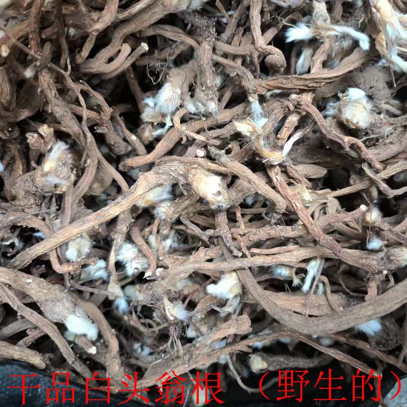 中药材白头翁根野生干品奈何草野丈人白头草老鼠花耗子花白头翁根