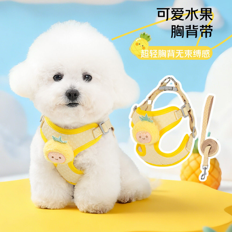 狗狗牵引绳泰迪牵引绳比熊胸背带狗绳子中小型犬遛狗绳宠物用品