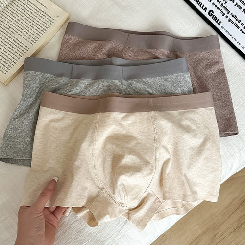 彩纱纯棉无痕男士四角裤