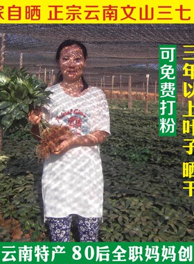 产地发货中药材云南文山三七叶田七叶子500g包邮 可免费磨粉