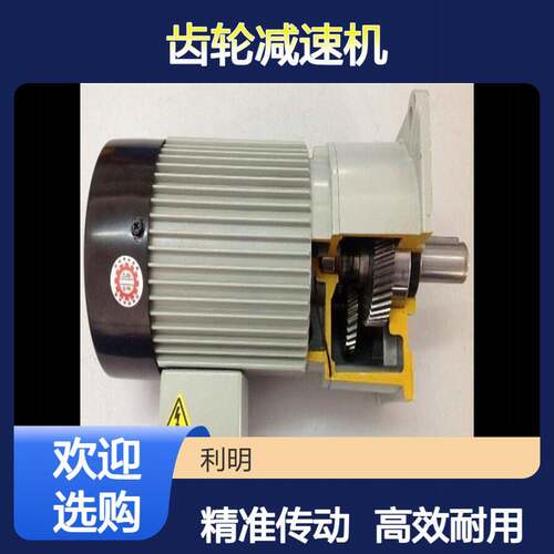 200W利明电机LK-SV12-0.2KW-1/200粉末搅拌机用齿轮速机