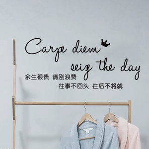 余生网红ins装饰墙贴纸