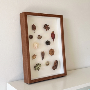 画框挂墙高级感diy手工相框立体中空标本框干花收藏保存展示画框