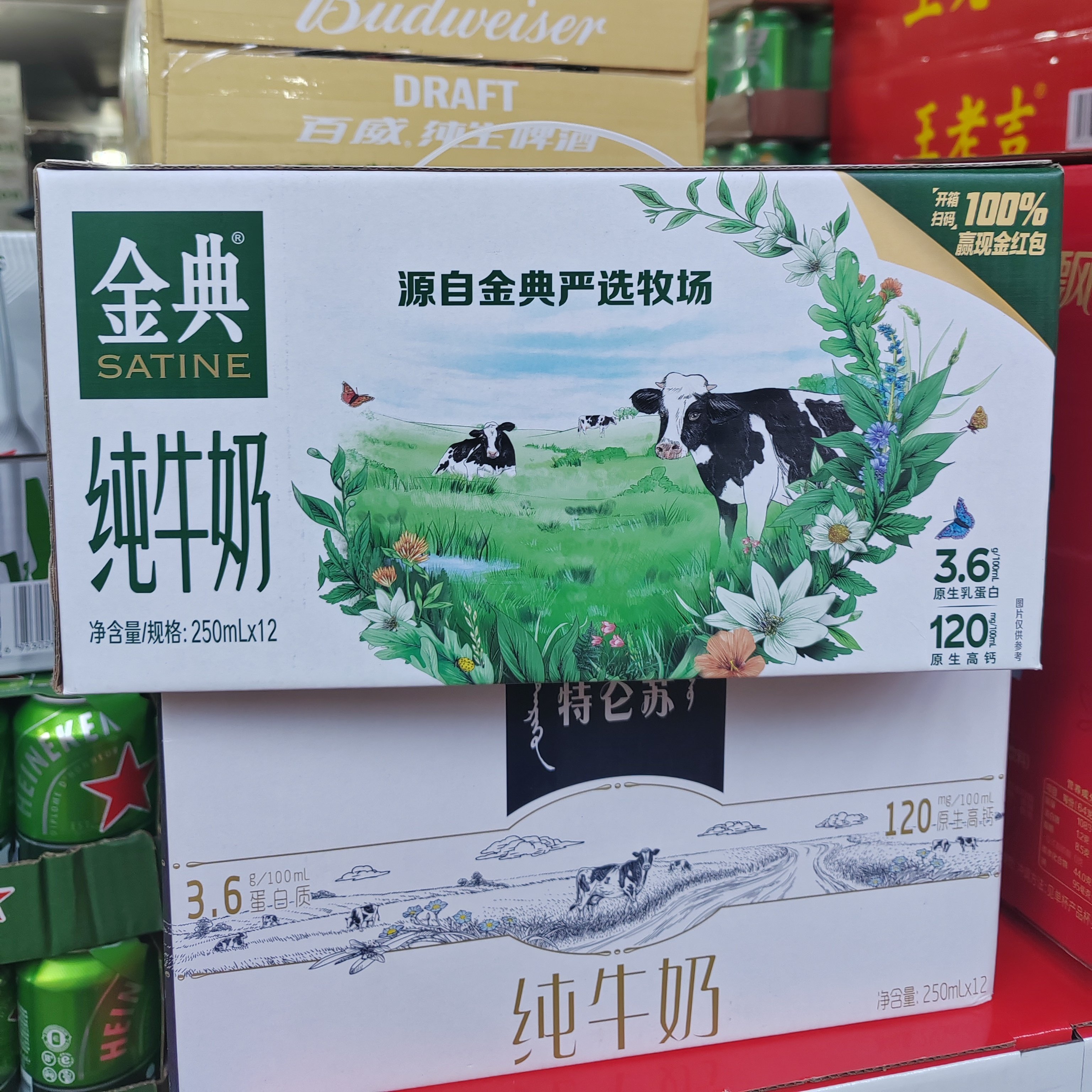 伊利金典纯牛奶250mlX12瓶箱