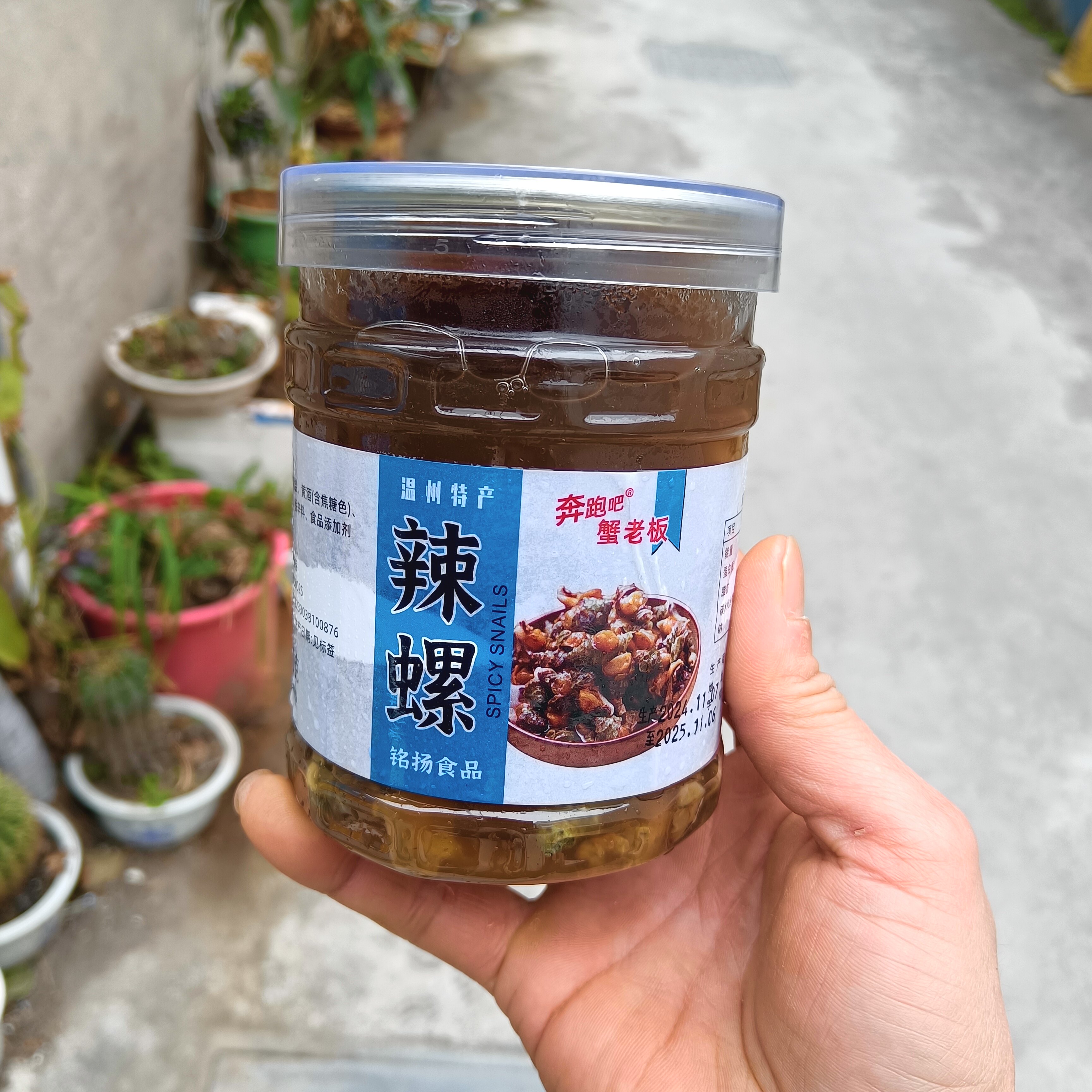 温州特产美食暗黑料理醉辣螺奔跑吧蟹老板辣螺即食净重连水590克