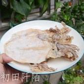 温州美食鱿鱼干鱿鱼淡干干货特产海鲜