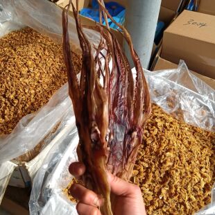 鱿鱼头须干尤鱼鱿鱼头章鱼头须温州海鲜干货炒菜煲汤