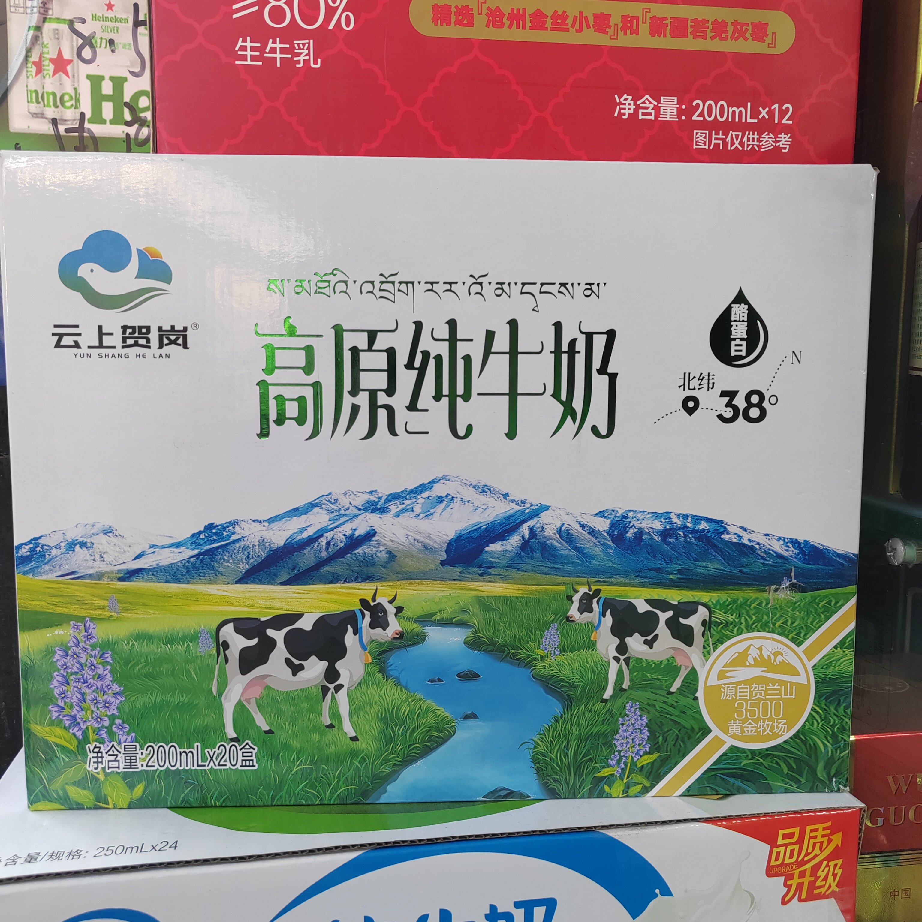 云上贺岗牌高原纯牛奶200mlX20盒一件全脂灭菌乳