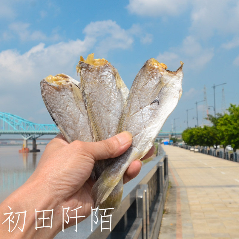 温州瑞安东山美食咸鱼干海鱼白梅鱼干 海鲜干货整条去头
