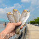 温州瑞安东山美食咸鱼干海鱼白梅鱼干 海鲜干货