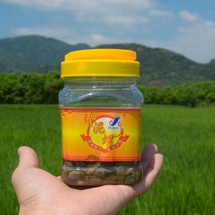 温州 醉泥螺 500克 下饭特色美食特产腌制 开泰海产腌制