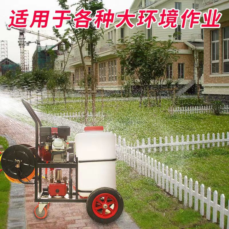 手推车式远射程拉管果园喷机  60L蔬菜大棚喷雾机 农田打车