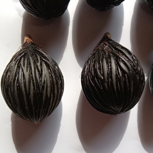 千丝菩提原籽千丝果子种子植物原核 手把件汽车挂饰 钥匙扣件20颗