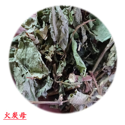 广西火炭母草 野生火炭毛 火炭藤 乌炭子白饭草食用农产品