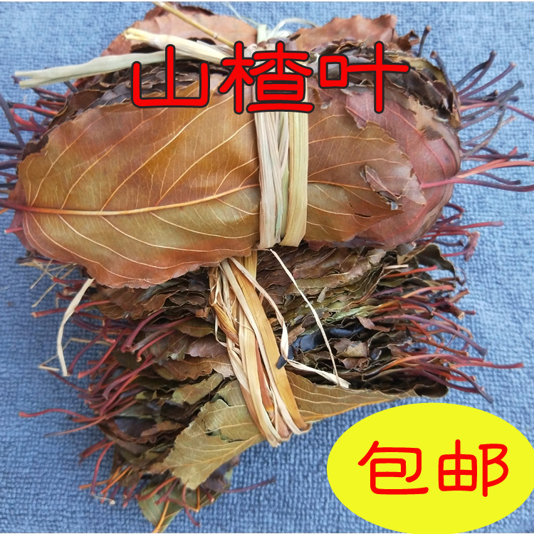 新货 野生山楂叶 山楂叶  南山楂 500g包邮 泡茶 煮水 农产品