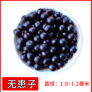无患子 天然木患子 108颗手串10-12mm 稀有小尺寸 洗文玩散珠
