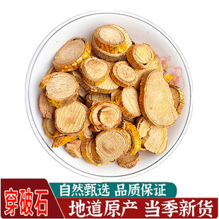 野生穿破石 精选圆片 广西川破石/地棉根 柘树根 柘木根 中药材
