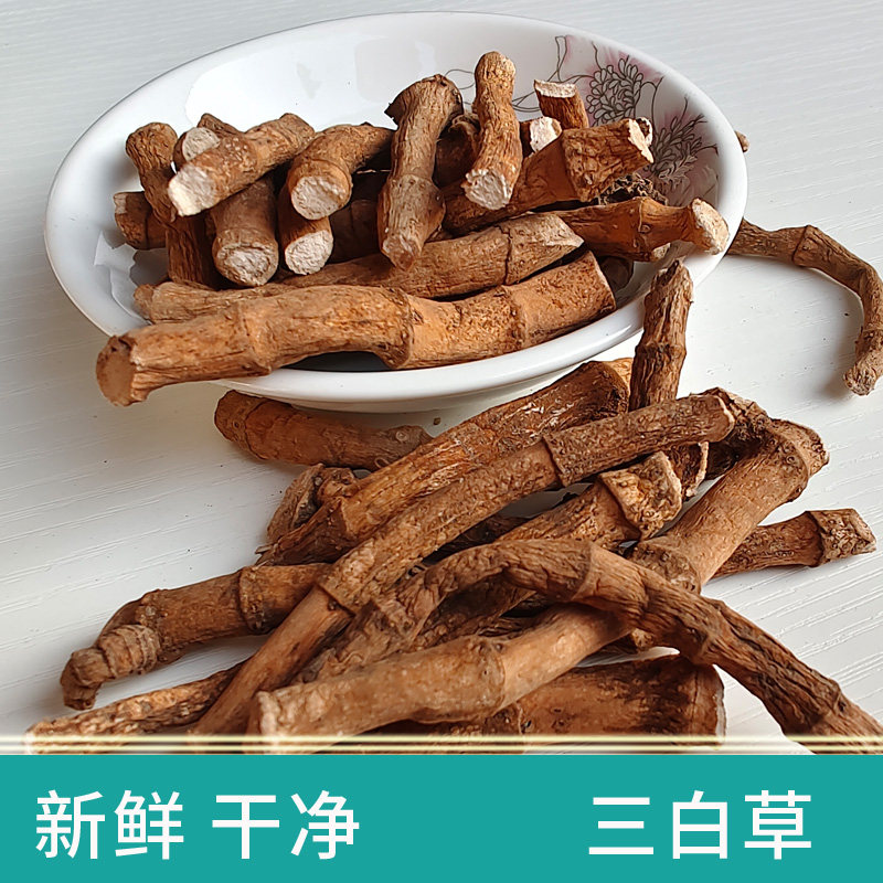 广西三百草过塘藕天性草三白草