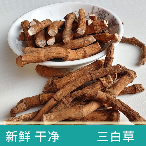 广西三百草过塘藕天性草三白草