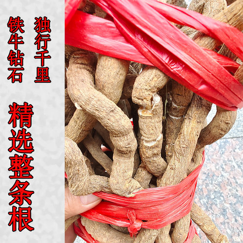 独行千里广西铁牛钻石野生石钻子