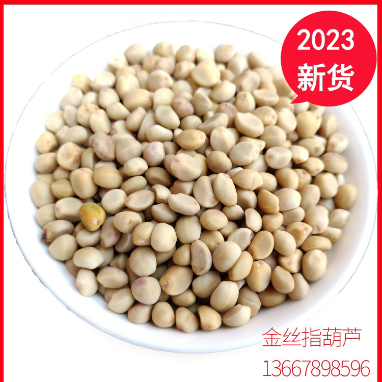 金丝指葫芦 广西跌打豆华佗豆 扣子豆种子 贼佬豆 新货非野生半斤
