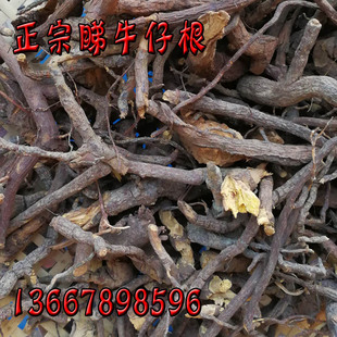 睇牛仔根 广西野生 苦李根 苦里脚根 睇牛儿根 中药材煲汤500克